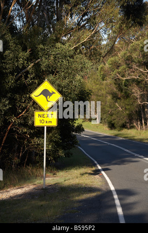 Kangaroo avviso di pericolo incidente segno accanto alla strada sulla North Stradbroke Island Queensland QLD Australia Foto Stock