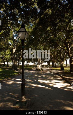 Battery Park, noto anche come la batteria, è una pietra miliare del lungomare di Charleston, Carolina del Sud. Foto Stock