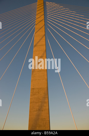 L'Arthur Ravenel Jr ponte anche noto come il Cooper River Bridge è un ponte strallato su Cooper River in Sud Caro Foto Stock