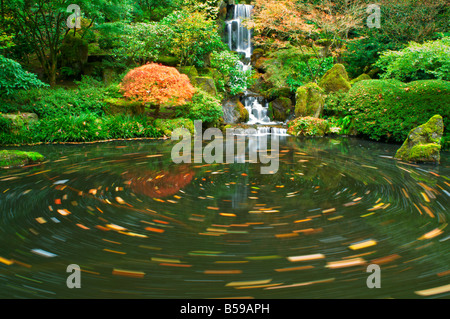 Stagno, Oregon, Stati Uniti d'America Foto Stock