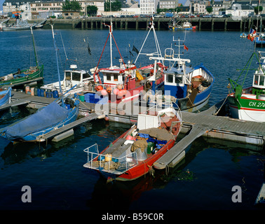 Barche da pesca in porto Cherbourg Normandia Francia Europa Foto Stock