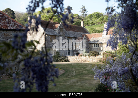 Mottistone Manor House NT National Trust attraverso malva fiori di glicine in una serata estiva Isle of Wight England Regno Unito Foto Stock