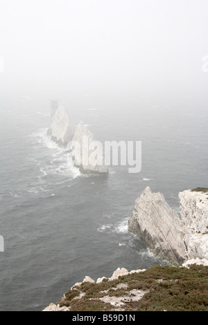 Gli aghi chalk rocks in mare di nebbia nube Isle of Wight England Regno Unito Foto Stock