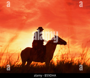 Stockman, Queensland, Australia Pacific Foto Stock