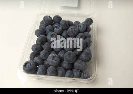 I mirtilli confezionato in un cestello come sarebbero venduti nel negozio di alimentari o mercato Foto Stock