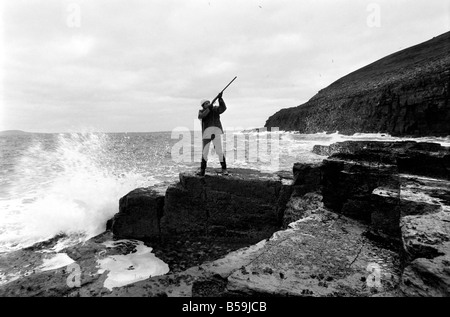 Orkney Isola di Rousay STORIA: All'Orkney Isola di Rousay, dove 29 enne Christopher Soames ha impostato su una nuova vita per sé e sua moglie Maria e i loro figli di sabbia, 8 David, 5 e Elizabeth, 4. Le immagini mostrano Christopher al lavoro: riprese di anatre di cibo per la famiglia. Gennaio 1970 71-00005-004 Foto Stock