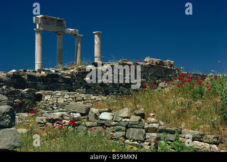 Tempio di Apollo di Delos, Sito Patrimonio Mondiale dell'UNESCO, le isole greche, Grecia, Europa Foto Stock