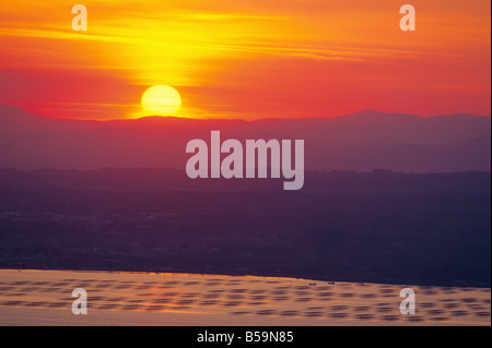 Tramonto su OYSTER FARM "Bassin de Thau' BASIN LANGUEDOC FRANCIA Foto Stock