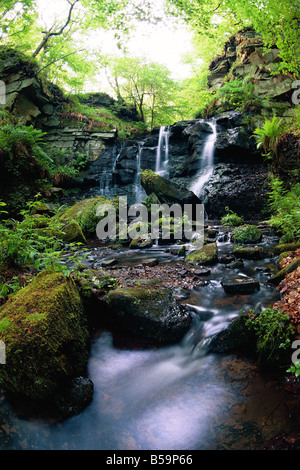 Una serie di immagini che mostrano l'acqua dalla sorgente in una cisterna a toccare la cascata a Allensford Foto Stock