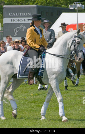 Stallone andaluso con un Pilota femminile in costume tradizionale persona donna femmina riding del cavallo bianco Foto Stock