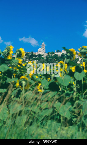 Girasoli " LA GARDE-ADHEMAR' VILLAGE la valle del Rodano in Francia Foto Stock