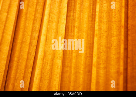 Immagine astratta di linee Foto Stock