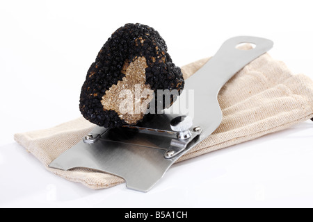 Tartufo nero con tartufo Tagliatutto Foto Stock