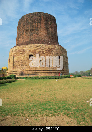 La Stupa Dhamekh Sarnath vicino a Varanasi nello stato di Uttar Pradesh India Asia Foto Stock