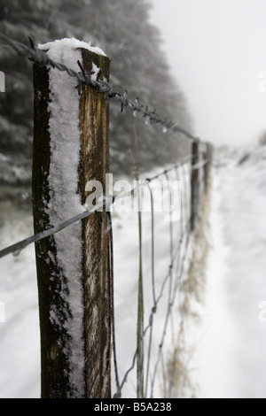 Staccionata in legno post ricoperti di neve e ghiaccio con filo spinato e net recinto di filo sul bordo di una foresta nella contea di Antrim Irlanda del Nord u Foto Stock