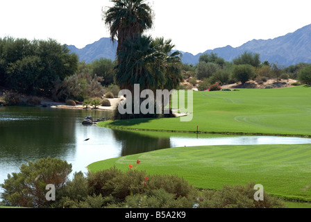 Palm Springs CA deserto salici Golf bella bella pittoresco Western US Stati Uniti in Palm Desert CA Desert Willow Foto Stock