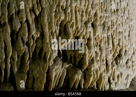 Flowstone - Parco nazionale di Carlsbad Cavern nel Nuovo Messico, STATI UNITI D'AMERICA Foto Stock