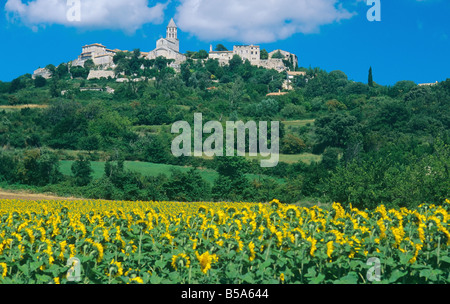 Girasoli " LA GARDE-ADHEMAR' VILLAGE la valle del Rodano in Francia Foto Stock