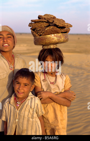 La raccolta del letame per fuochi vicino al villaggio di Khimsar Rajasthan India Asia Foto Stock