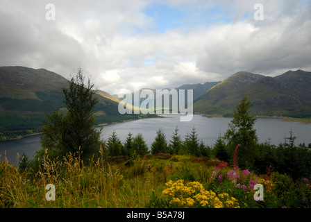 Guardando sopra la testa del Loch Duich, Highlands Occidentali, Scozia Foto Stock