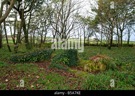 Il 'mud cameriera' scultura alla Lost Gardens of Heligan,cornwall, Regno Unito Foto Stock