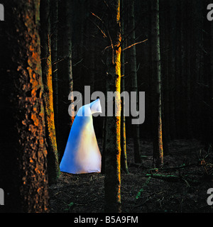 Ghost in the woods Foto Stock