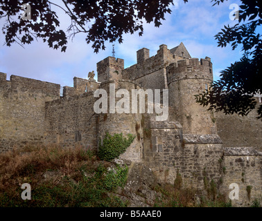 Castello di Cahir, roccaforte della famiglia Butler, Caher, nella contea di Tipperary, Munster, Repubblica di Irlanda Foto Stock