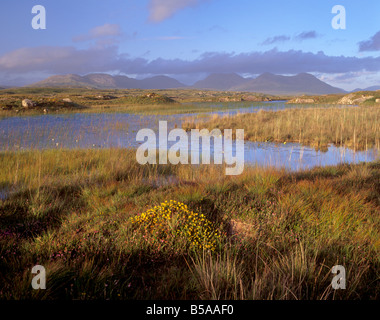Ballynahinch Lago e dodici perni, vicino a Clifden, Connemara, nella contea di Galway, Connacht, Repubblica di Irlanda, Europa Foto Stock