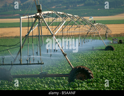 Automatico Il sistema di irrigazione, la Galilea, Israele, Medio Oriente Foto Stock