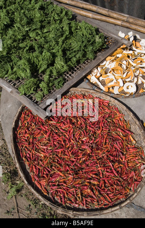 Peperoni essiccamento in sun, Luang Prabang, Laos, Indocina, sud-est asiatico Foto Stock
