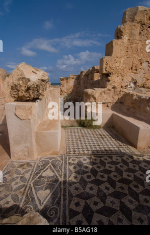 Mosaici in teatro Bagni, sito romano di Sabratha, Sito Patrimonio Mondiale dell'UNESCO, Libia, Africa Settentrionale, Africa Foto Stock