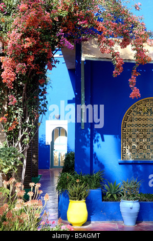 Il Giardino Majorelle e ripristinati mediante il couturier Yves Saint Laurent, Marrakech, Marocco, Africa del Nord Foto Stock