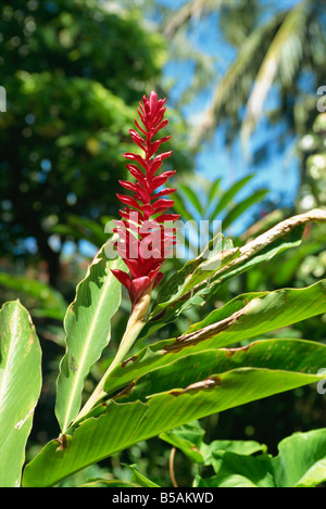 Bali Hyatt Hotel, spiaggia di Sanur, Bali, Indonesia, sud-est asiatico Foto Stock