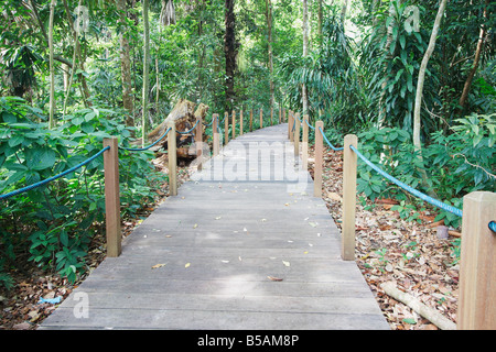 Percorso in Singapore Botanic Gardens Foto Stock