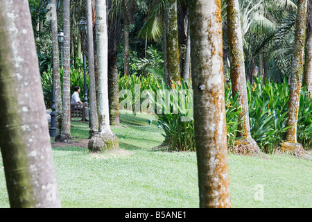 Uomo seduto su un banco in Singapore Botanic Gardens Foto Stock