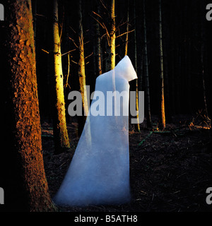 Ghost in the woods Foto Stock