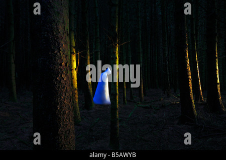 Ghost in the woods Foto Stock