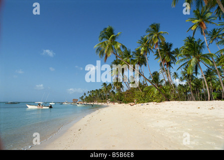 Pigeon Point Tobago West Indies Caraibi America Centrale Foto Stock