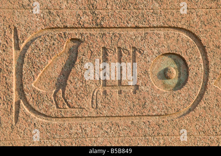 Dettaglio del granito scolpito Hieroglyph presso il complesso della piramide incompiuta di Abusir egiziana antica tomba reale dal V dinastia Egitto Foto Stock