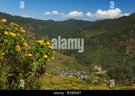 Banga-un villaggio, terrazze di riso vicino Sagada Town, la Cordillera Mountains, Benguet Provincia, Luzon, Filippine, Sud-est asiatico Foto Stock