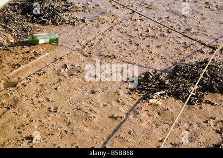 Flotsam e jetsam si è incagliata su terreni fangosi beach Foto Stock