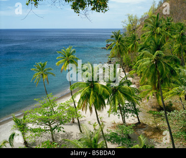 Anse Chastanet vicino Soufriere St Lucia Windward Islands West Indies Caraibi America Centrale Foto Stock