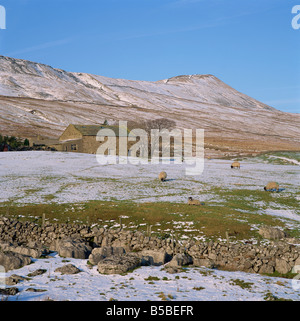 Yorkshire Dales in inverno, North Yorkshire, Inghilterra, Europa Foto Stock