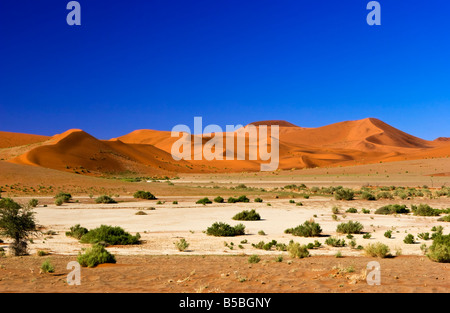 Sossusvlei nel Namib-Naukluft National Park, Namibia Foto Stock