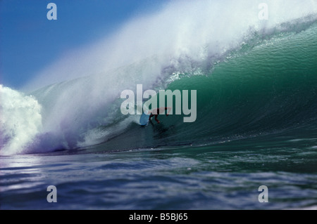 Surfer Sergio Amsler spazzando via in un'onda a Padang Padang Bali Indonesia Foto Stock