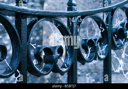 Primo piano di un nero cancellata in ferro battuto ricoperto di frosty ragnatele. Foto Stock