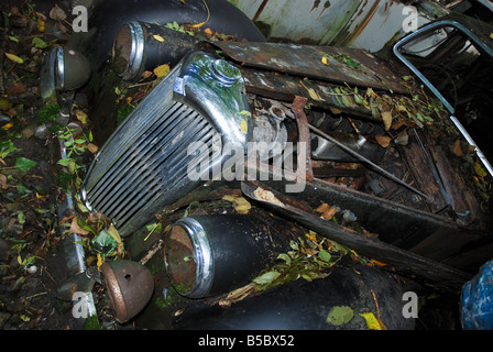 Un vecchio Riley si siede nella foresta junkyard a Autofriedhof Gurbetal svizzera Foto Stock