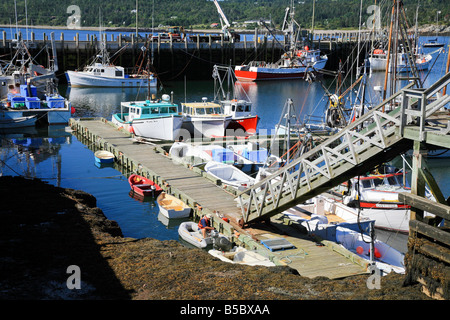 Porto di Grand Manan Island è una piccola isola della costa di New Brunswick in Canada s Costa Atlantica Foto Stock