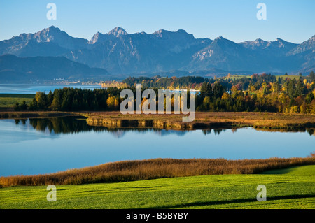 Colore di autunno al lago Forggensee all'alba con Allgäu Alpi in aumento in distanza, Bavaira, Germania Foto Stock