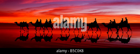 Corsa in Cammello sulla spiaggia di Cable Beach, Broome, Australia occidentale Foto Stock